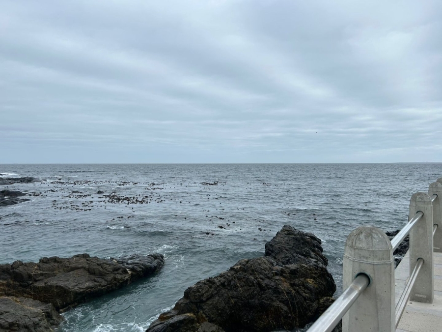 To Let 1 Bedroom Property for Rent in Three Anchor Bay Western Cape